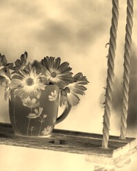Sepia + Negatyw