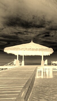 Sepia + Negatyw