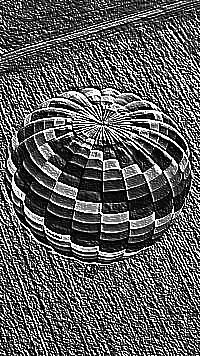 Skamielina