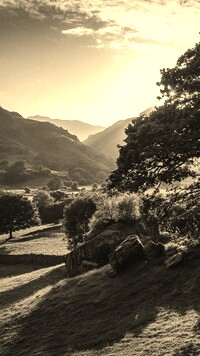 Sepia