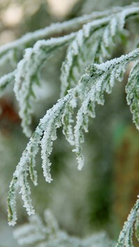 Oryginalny obrazek