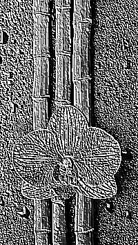 Skamielina