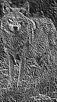 Skamielina