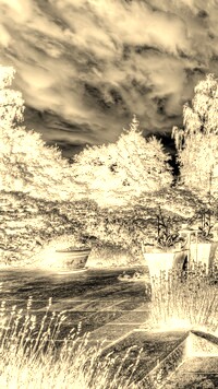 Sepia + Negatyw