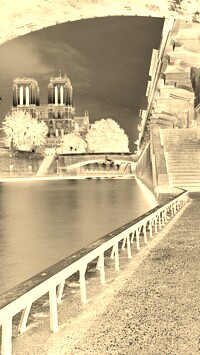 Sepia + Negatyw
