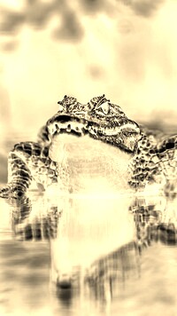 Sepia + Negatyw