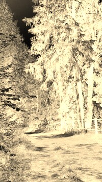 Sepia + Negatyw