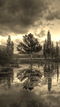 Szary + Sepia