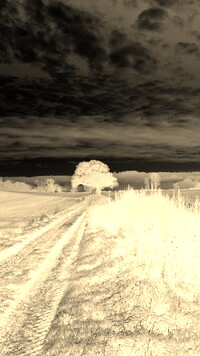 Sepia + Negatyw