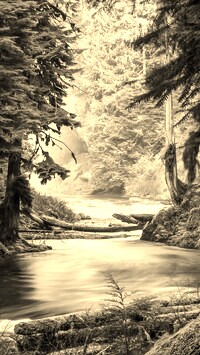 Sepia