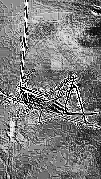 Skamielina