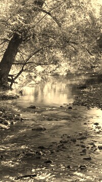 Sepia