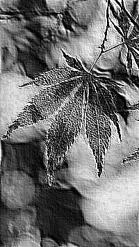 Skamielina