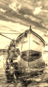 Szary + Sepia