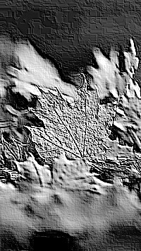 Skamielina