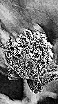 Skamielina