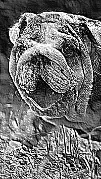 Skamielina
