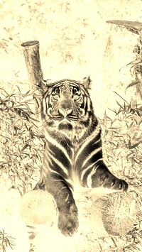 Sepia + Negatyw