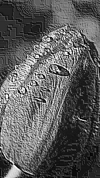 Skamielina