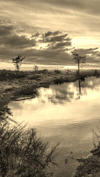 Szary + Sepia