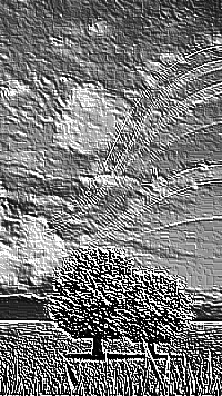 Skamielina