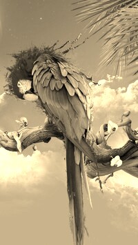 Szary + Sepia