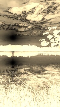 Sepia + Negatyw