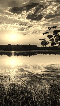 Szary + Sepia