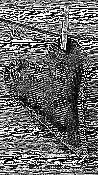 Skamielina