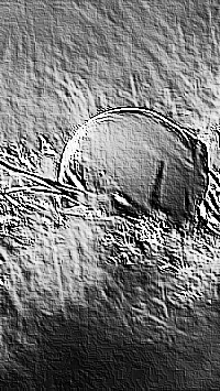 Skamielina
