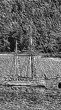 Skamielina