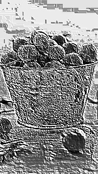 Skamielina