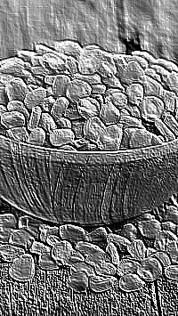Skamielina