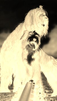 Sepia + Negatyw
