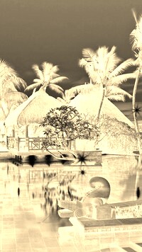 Sepia + Negatyw