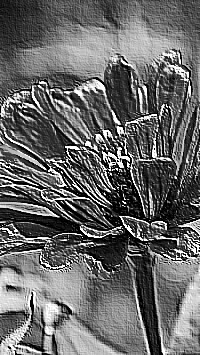 Skamielina
