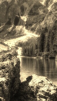 Szary + Sepia