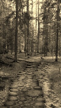 Szary + Sepia