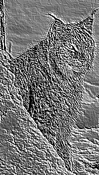 Skamielina