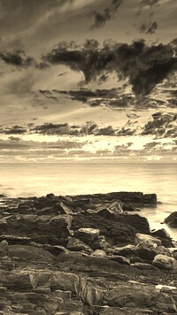 Szary + Sepia