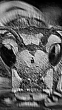 Skamielina