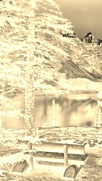 Sepia + Negatyw