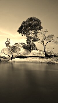 Szary + Sepia