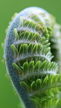 Oryginalny obrazek