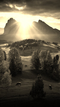 Sepia