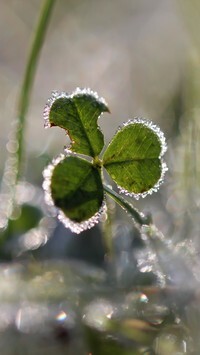 Oryginalny obrazek