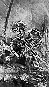 Skamielina