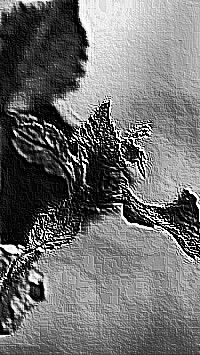Skamielina