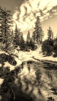 Sepia