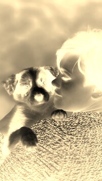Sepia + Negatyw